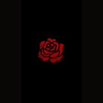 Girl - Single