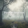 Pure Relaxation: 432 Hz Pure Tones