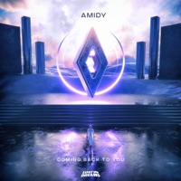 Coming Back To You - Single - AMIDY