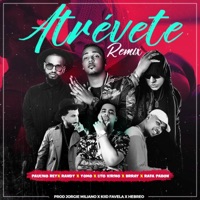 Atrévete (Remix) [feat.Randy, Yomo, Lito Kirino, Brray & Rafa Pabon] - Single - Paulino