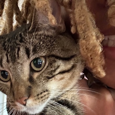 Here To Stay - Single