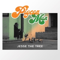 Pigeon Man - Jesse the Tree