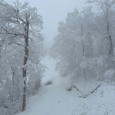 gamble (feat. beyjng & Z1M) - Single