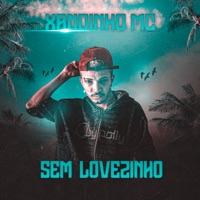 Sem Lovezinho - Single - xandinho mc