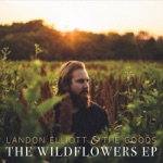 The Wildflowers - EP