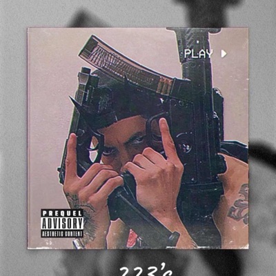 223's - Single
