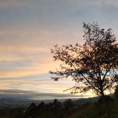 Pensando En Ti - Single