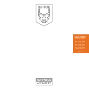 The Final Riot (DJ Ruffneck Reworks) [feat. Ruffneck] - Single