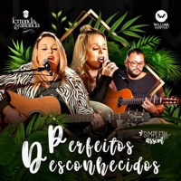 Perfeitos Desconhecidos (Simples Assim) - Single - Fernanda e Amanda & William Santos