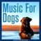 Puppy Music - Dog Music, Relaxmydog & Dog Music Therapy lyrics
