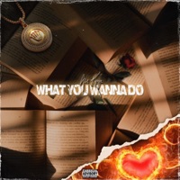 What You Wanna Do (WYWD) - Single - AceKyngz