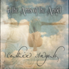 In the Arms of the Angel (Original Performed by Sarah Mclachlan) - Celtic Angels