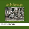 The Waterboys