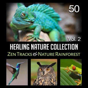 50 Healing Nature Collection Vol. 2: Zen Tracks & Nature Rainforest – Healing Meditation, Serenity, Namaste Yoga, Pure Massage Music