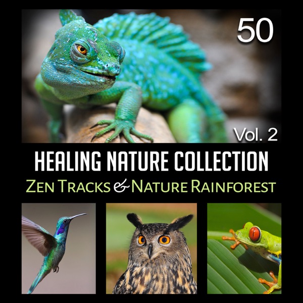 50 Healing Nature Collection Vol. 2: Zen Tracks & Nature Rainforest – Healing Meditation, Serenity, Namaste Yoga, Pure Massage Music