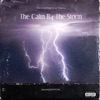 The Calm B4 the Storm - Single