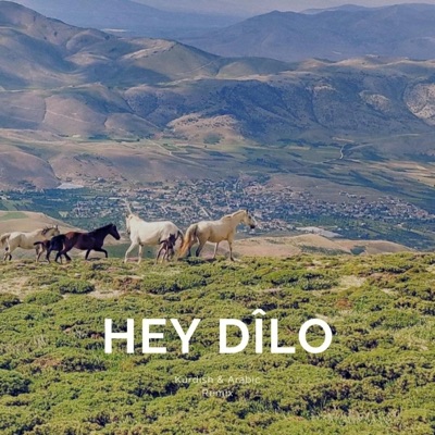 Baron Production - Hey Dilo (Kurdish Remix)
