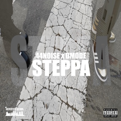 Steppa (feat. DMode) - Single
