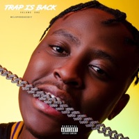 Trap Is Back, Vol. 1 - Meloproducedit