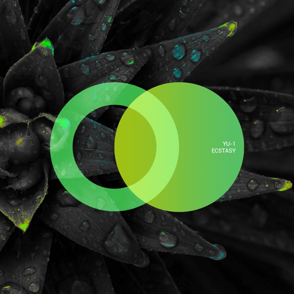 Ecstasy - Single