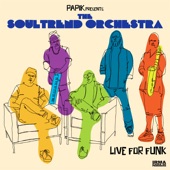 Live for Funk (feat. Sonny King) artwork