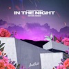 In the Night (Sevek Remix) - Single