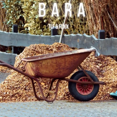 Bara (feat. Foxx) - Single