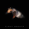 First Breath - Single