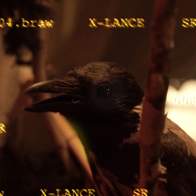 X - Lance - Single