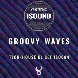 Groovy Waves - EP