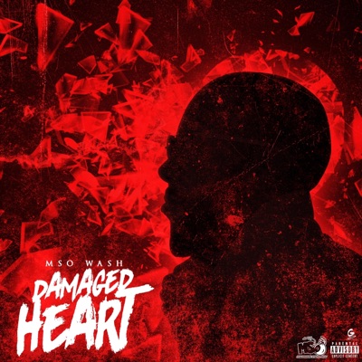 Damaged Heart - Single