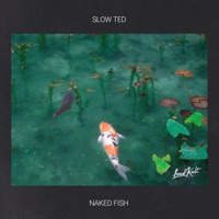 Naked Fish - Single - Slow Ted