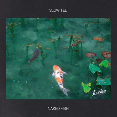 Naked Fish - Single