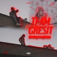 Ți-Am Greșit - Single - Denis Georgian