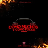 Como muchos y como pocos - Single - Meño Segovia