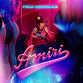 Amiri artwork