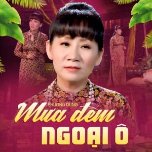Mưa Đêm Ngoại Ô