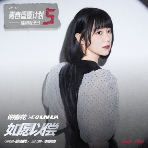 如愿以偿(青春重置计划5 请回答1999) - Single