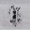 H - Sl1ck lyrics