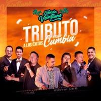Tributo a los Éxitos de la Cumbia - Estación 21
