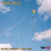 Spring Breeze (feat. Big Hack, FrankDawg & Bishop Jones) - Single