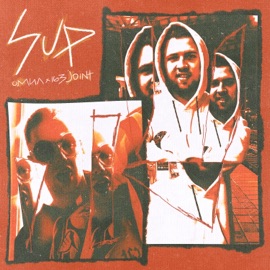 Sup 163 Joint & Омил