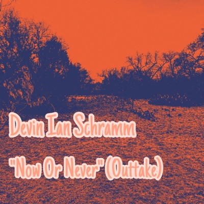 Now Or Never - Single