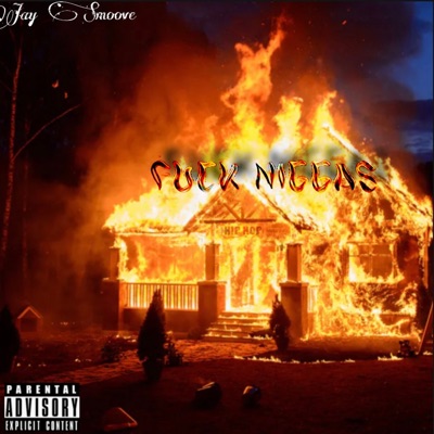 Fuck Niggas - Single