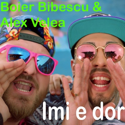 Îmi e dor (feat. Alex Velea) - Single