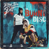 The Burnt Disc - Bishop Slice & Brit