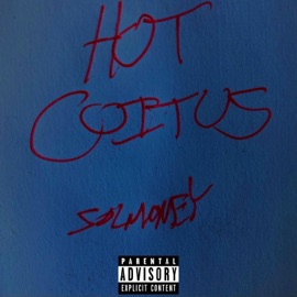 Hot Coitus Solmoney