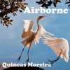 Airborne (Pop and Dance Tracks)