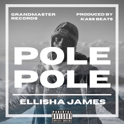 Pole Pole - Single