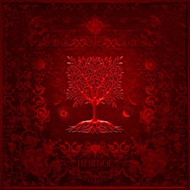 I love you Dadju & Tayc